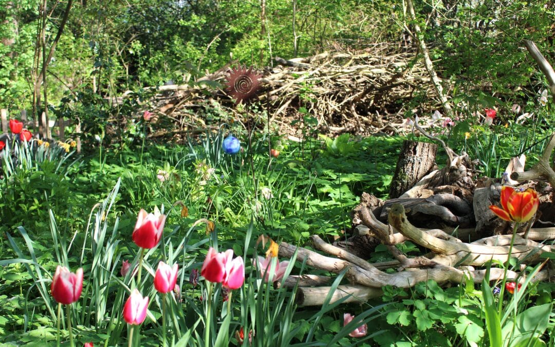 Die grünste Zeit des Jahres – der Frühling – Beltane