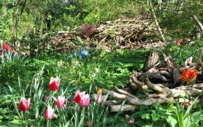 Die grünste Zeit des Jahres – der Frühling – Beltane
