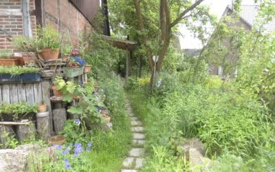 Litha – Höhepunkt des Sommers Johanni-Zeit
